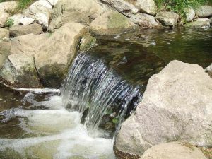 Steingarten – nützliche Gestaltungstipps