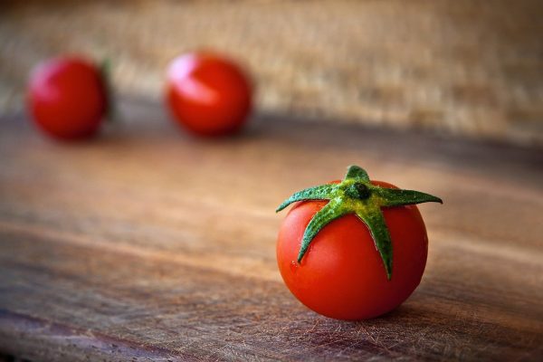 Tomatenzucht zuhause – wie macht man das?